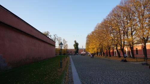 2018-10-16-20-08 116