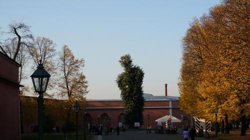 2018-10-16-20-08 117