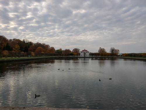 2018-10-18-15-16 264