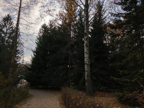 2018-10-18-16-34 311
