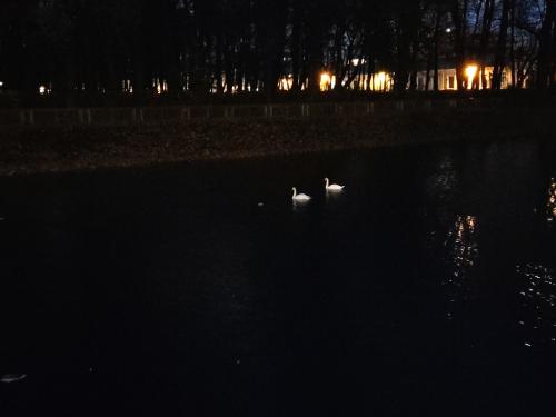2018-10-19-18-38 346